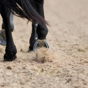 M3C paardenbakzand losgestort 1 m³ 1500 kg voor rijbanen en paddocks