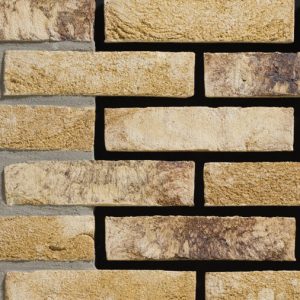 Tanganyika Handvorm Waalformaat baksteen 16058701