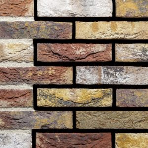 Toendra bont gesinterd Handvorm Waalformaat baksteen 16055459